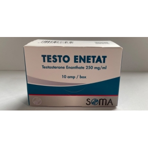 Soma Pharma Testosteron Enanthate 250 Mg 10 Ampul